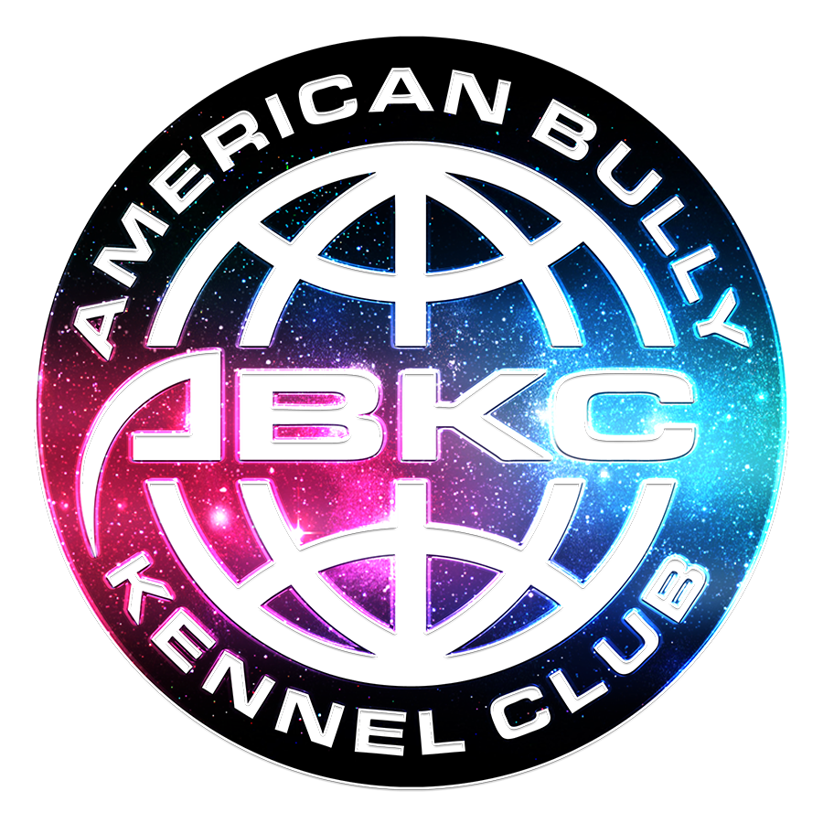ABKC XXL American Bullies for sale near me CA